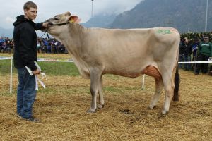 160409Attinghausen 033